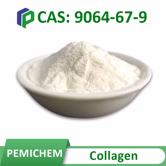 제조 공급 99% 순수한 화장용 원료 트라넥삼산 분말 CAS 1197